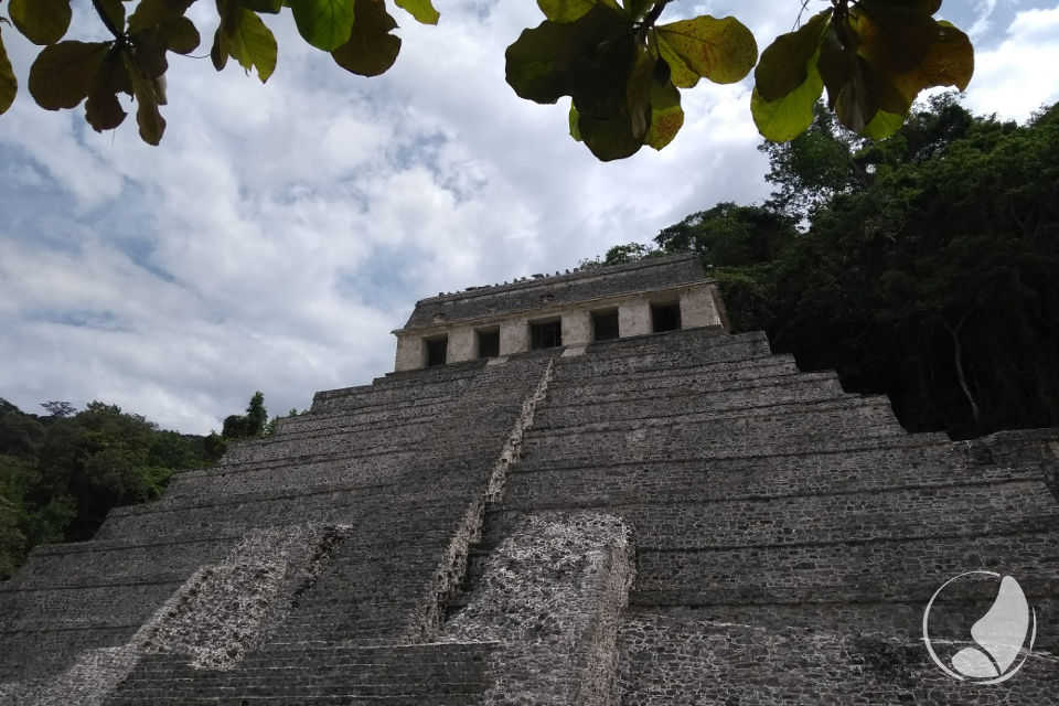 Palenque 5